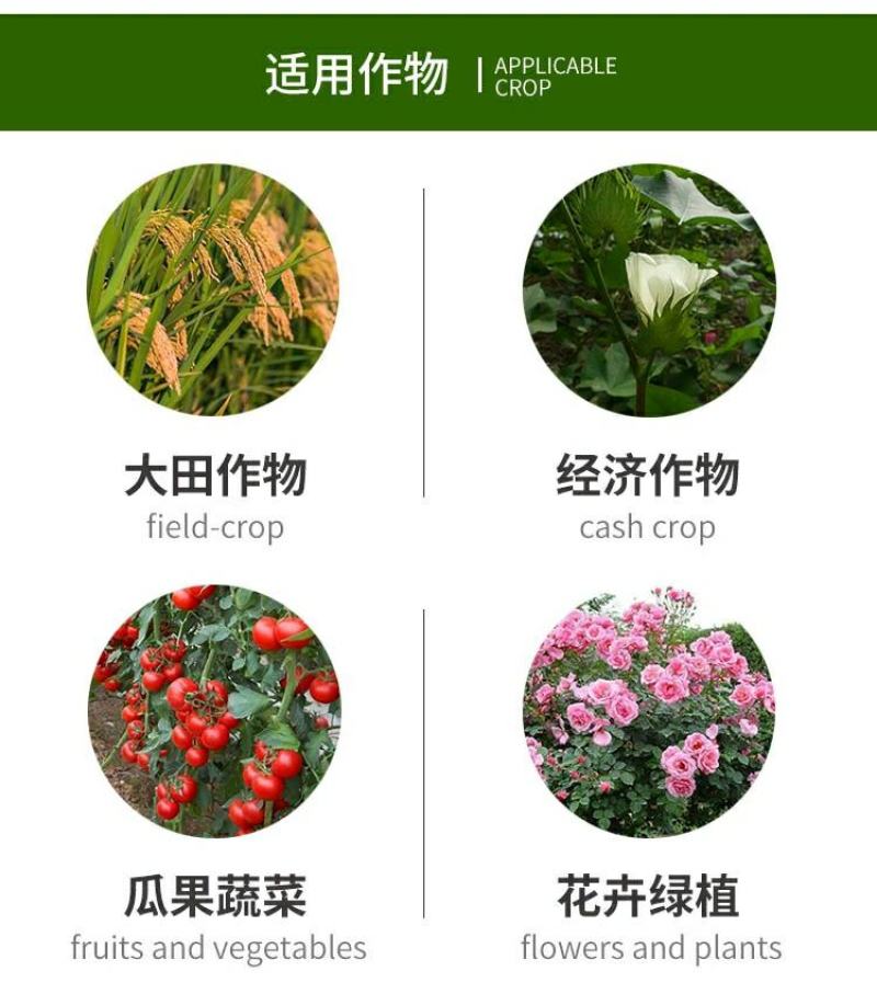 43%戊唑醇水稻曲病梨树黑星病斑点落叶白粉病杀菌剂正