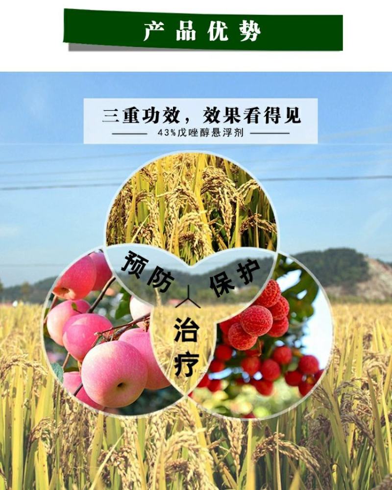 43%戊唑醇水稻曲病梨树黑星病斑点落叶白粉病杀菌剂正