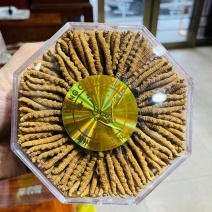 精品冬虫夏草，一手货源，品质保证，价格实惠，需要的老板联