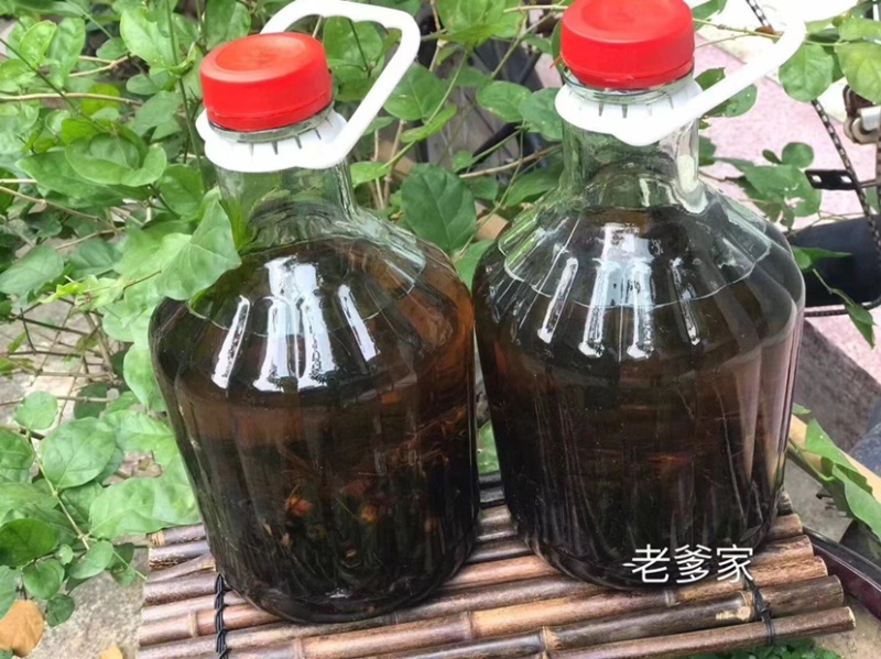 野生虎头蜂酒采用53度高粱酒活蜂浸泡