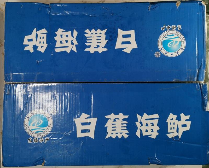 珠海白蕉海鲈鱼一条1.6斤重左右一箱12条20斤