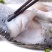 珠海白蕉海鲈鱼一条1.6斤重左右一箱12条20斤