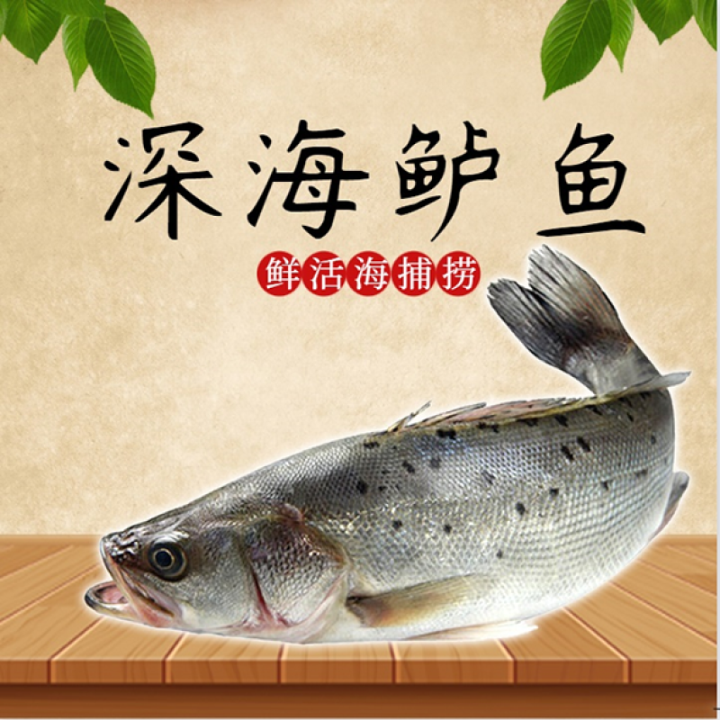 珠海白蕉海鲈鱼一条1.6斤重左右一箱12条20斤
