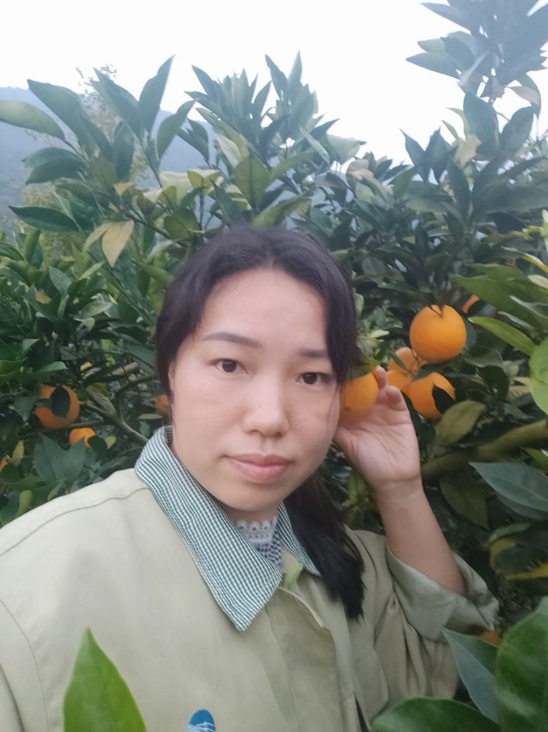 东江湖脐橙(湖南资兴东江湖清江)