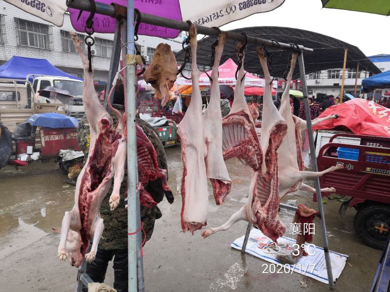山羊肉，吃草山羊，肉质鲜美