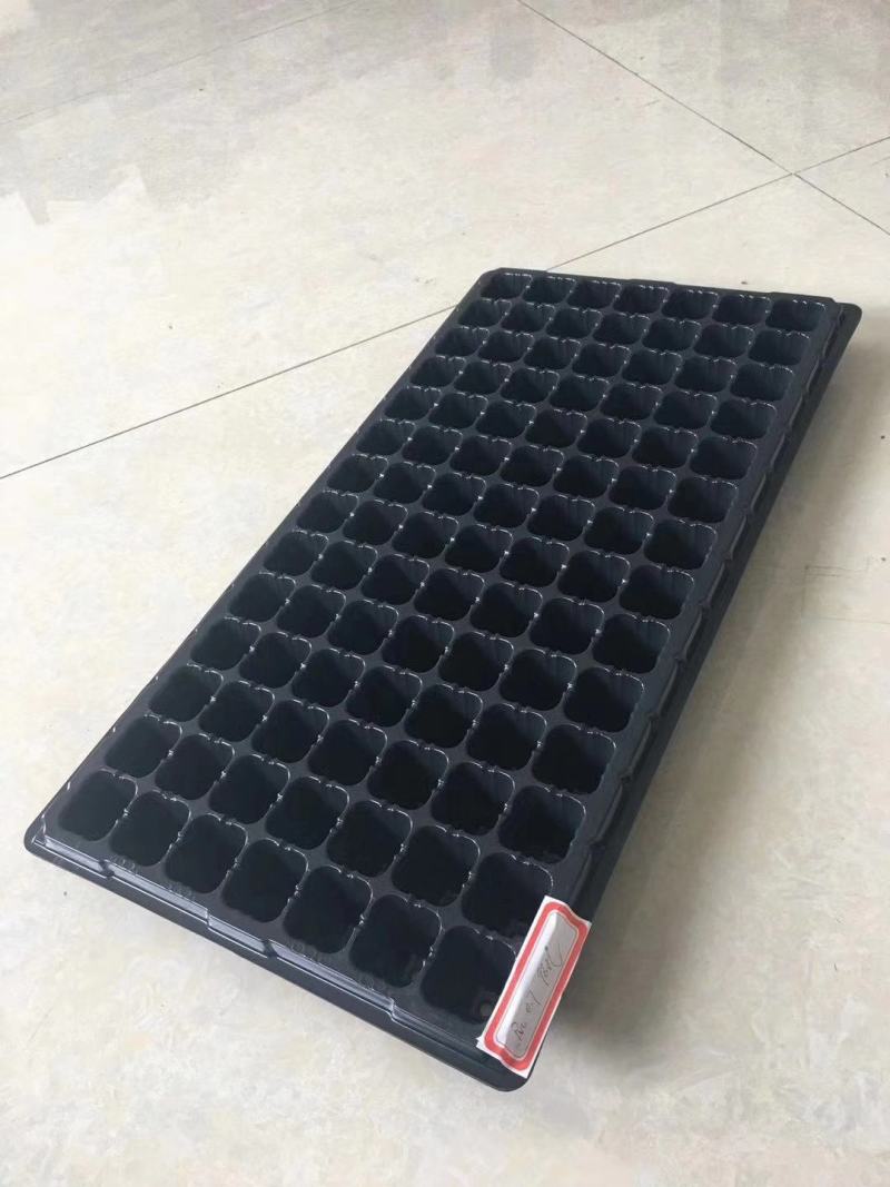 【推荐】育苗盘，穴盘200穴育苗盘育苗穴盘厂家直销欢迎下单