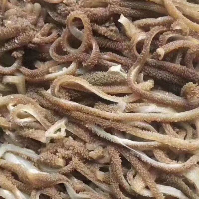 羊肚丝厂家直销长期大量供应