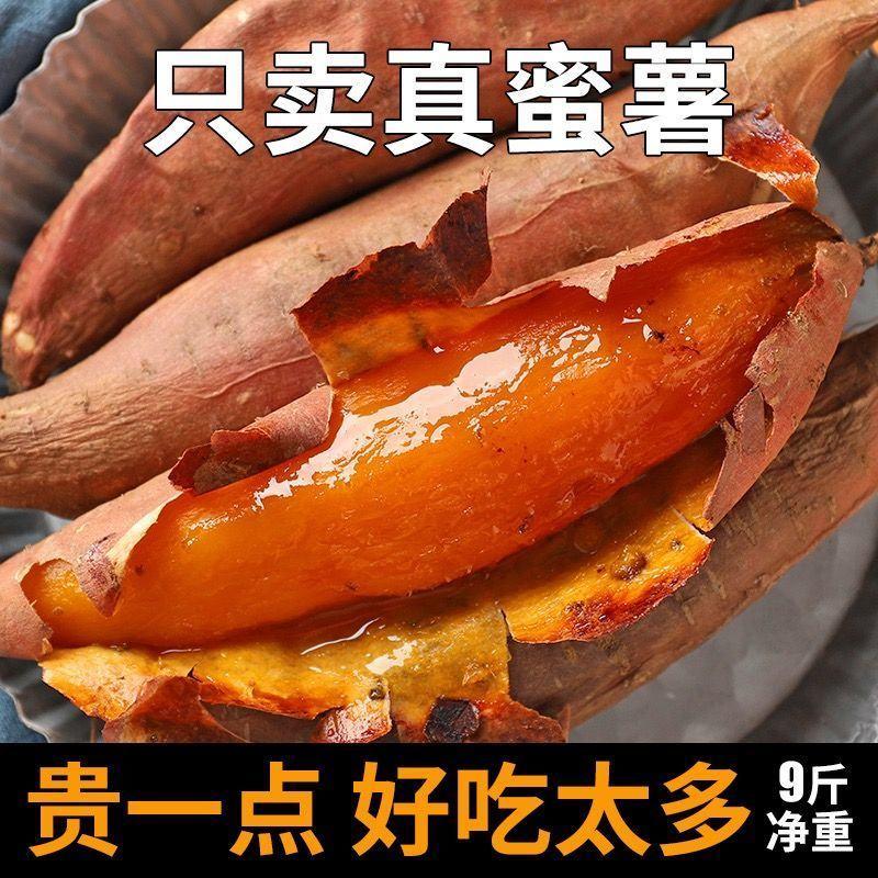 【顺丰包邮】红薯新鲜农家番薯烤地瓜山东沙地烟薯25糖心红
