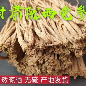 土党参,产地直供,质优价实,品质保证,药典标准,道地良药
