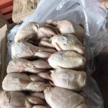 放血大鹌鹑这个货特别合适低于市场价