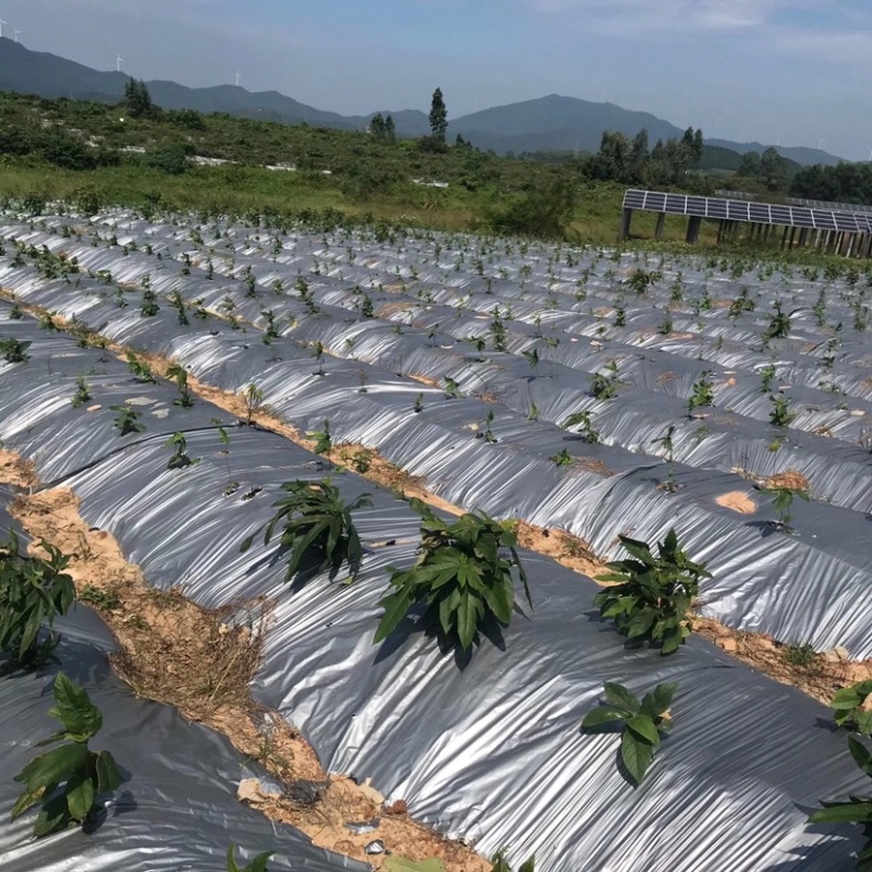农业辅料农膜地膜，防寒膜，银黑地膜，黑色地膜，地膜厂家