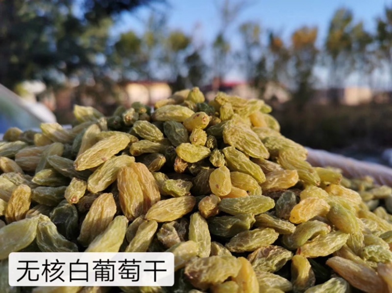 2021年新货！新疆无核白葡萄干传统葡萄干