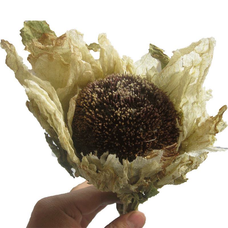 雪莲花，道地药材，质优价实，品质保证，药典标准，产地新疆