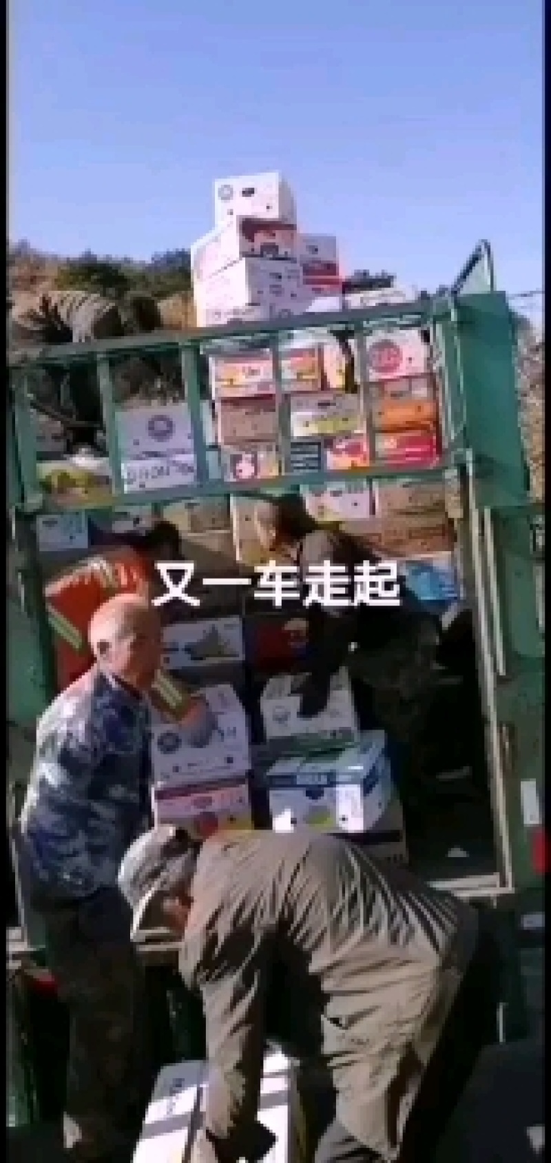 万亩基地直供磨盘柿保质保量