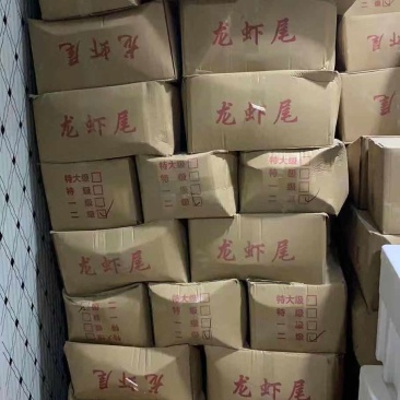 无冰衣虾尾，2020年新品虾尾，证件齐全，一件代发批发