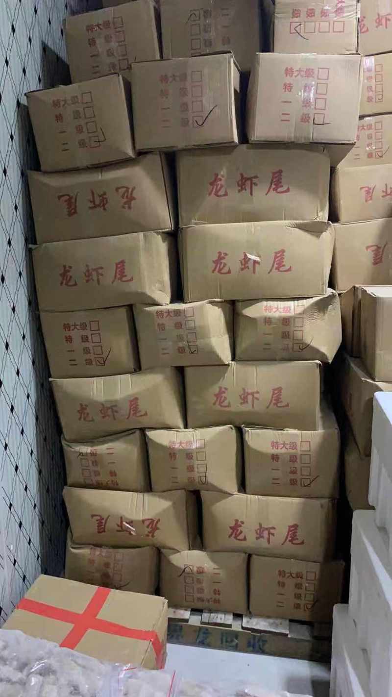 无冰衣虾尾，2020年新品虾尾，证件齐全，一件代发批发
