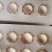 养殖场常年供应新鲜鸽子蛋批发零售，一手货源。一件代发货，