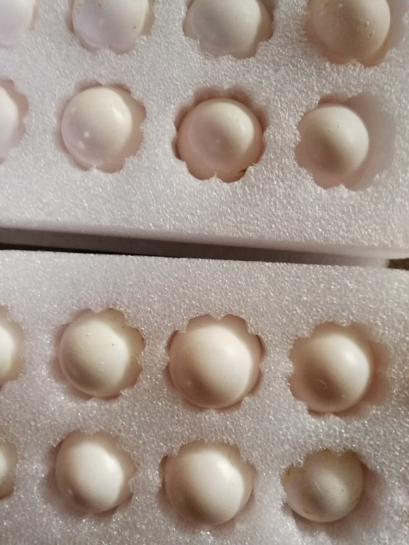 养殖场常年供应新鲜鸽子蛋批发零售，一手货源。一件代发货，