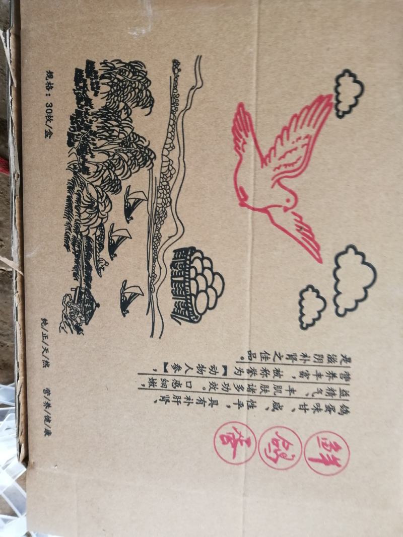 养殖场常年供应新鲜鸽子蛋批发零售，一手货源。一件代发货，