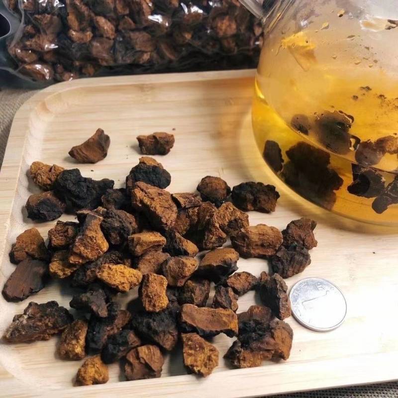 桦树茸白桦茸俄罗斯桦树茸大量批发白桦茸