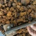 桦树茸白桦茸俄罗斯桦树茸大量批发白桦茸