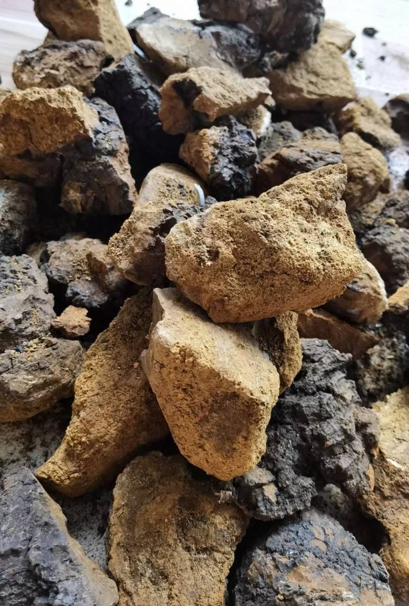 桦树茸白桦茸俄罗斯桦树茸大量批发白桦茸