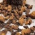 桦树茸白桦茸俄罗斯桦树茸大量批发白桦茸