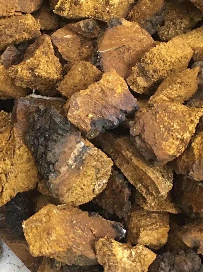 桦树茸白桦茸俄罗斯桦树茸大量批发白桦茸