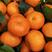 沙糖橘，口感纯甜，一手货源，保质保量，果园看货采摘。