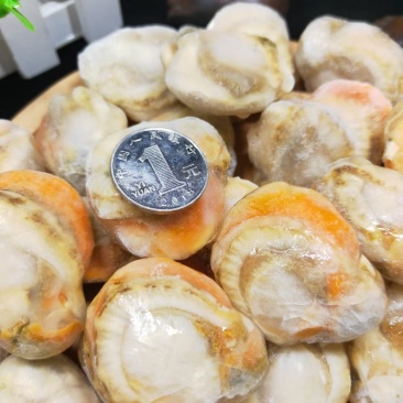 扇贝肉，干冰扇贝肉，冻扇贝肉，有卵，量大。