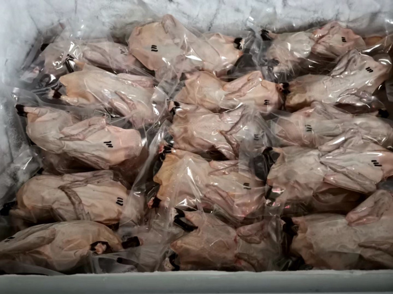 正宗连城白鹭鸭是全国唯一真正认证有药食生态硒的鸭子