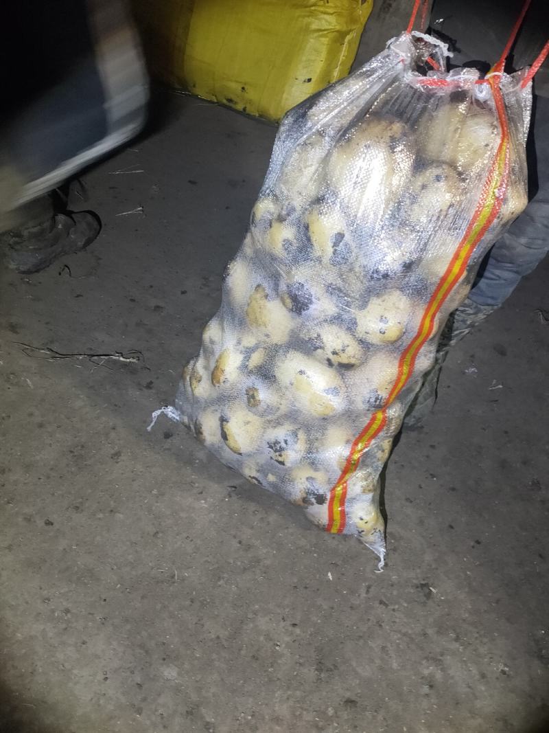 土豆干洗反包，西森，保质保量，随时下单，图片视频真实有效