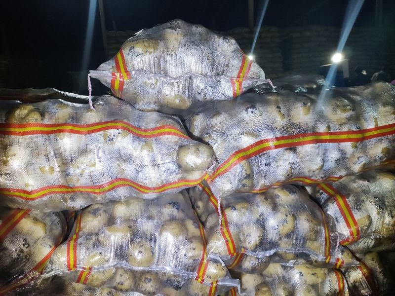 土豆干洗反包，西森，保质保量，随时下单，图片视频真实有效