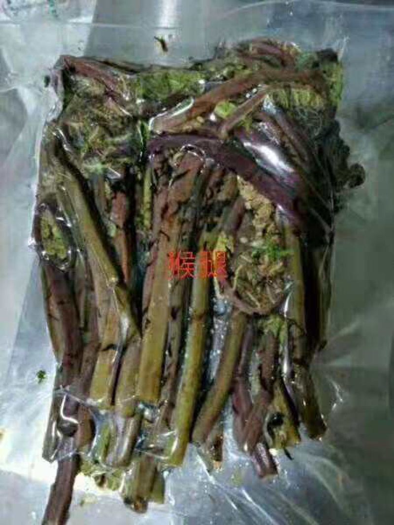 大量批发零售速冻真空包装山野菜