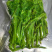 大量批发零售速冻真空包装山野菜