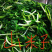 大量批发零售速冻真空包装山野菜