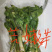 大量批发零售速冻真空包装山野菜