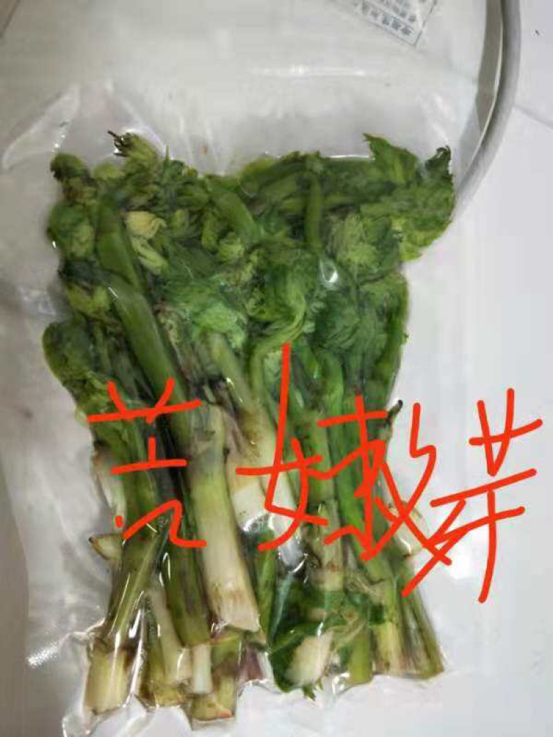 大量批发零售速冻真空包装山野菜