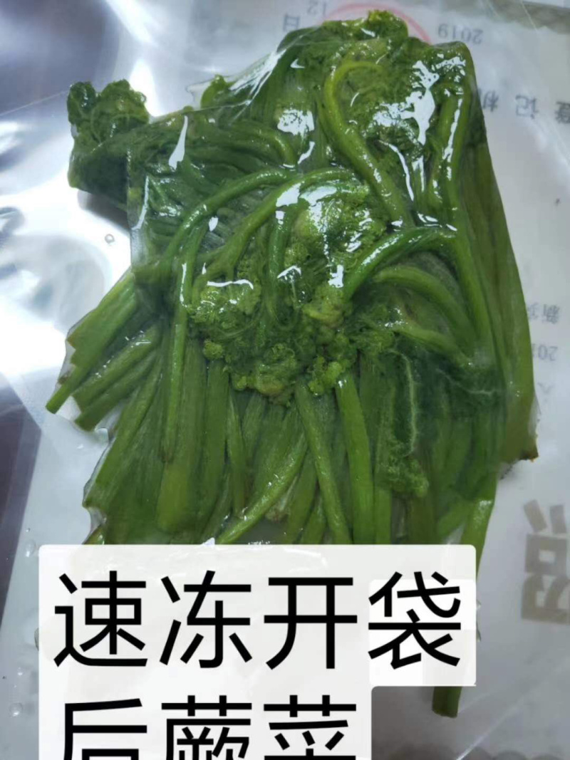 大量批发零售速冻真空包装山野菜