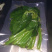 大量批发零售速冻真空包装山野菜