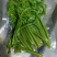 大量批发零售速冻真空包装山野菜