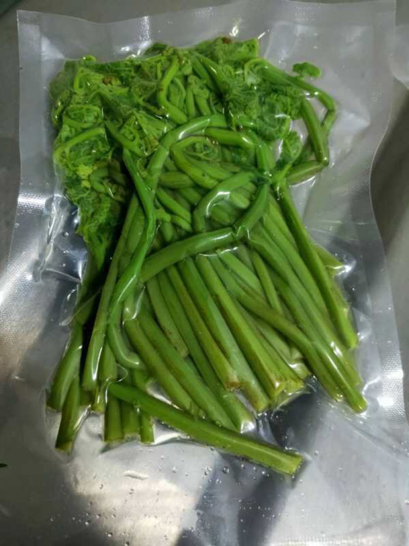 大量批发零售速冻真空包装山野菜
