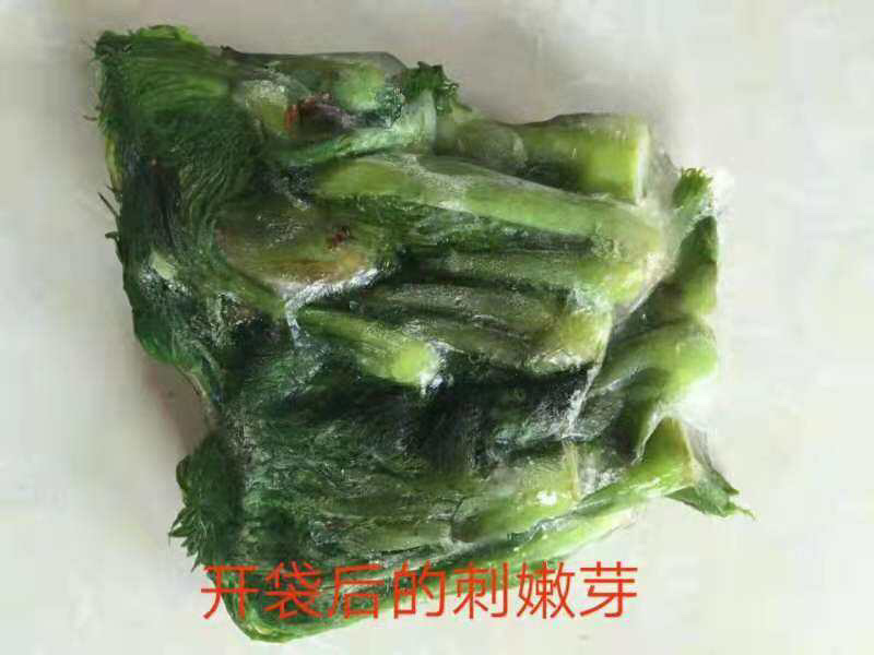 大量批发零售速冻真空包装山野菜