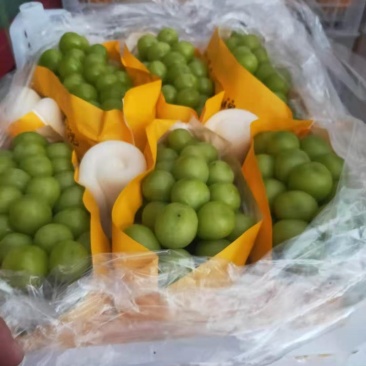 云南红河建水早熟阳光玫瑰口感杠杠的