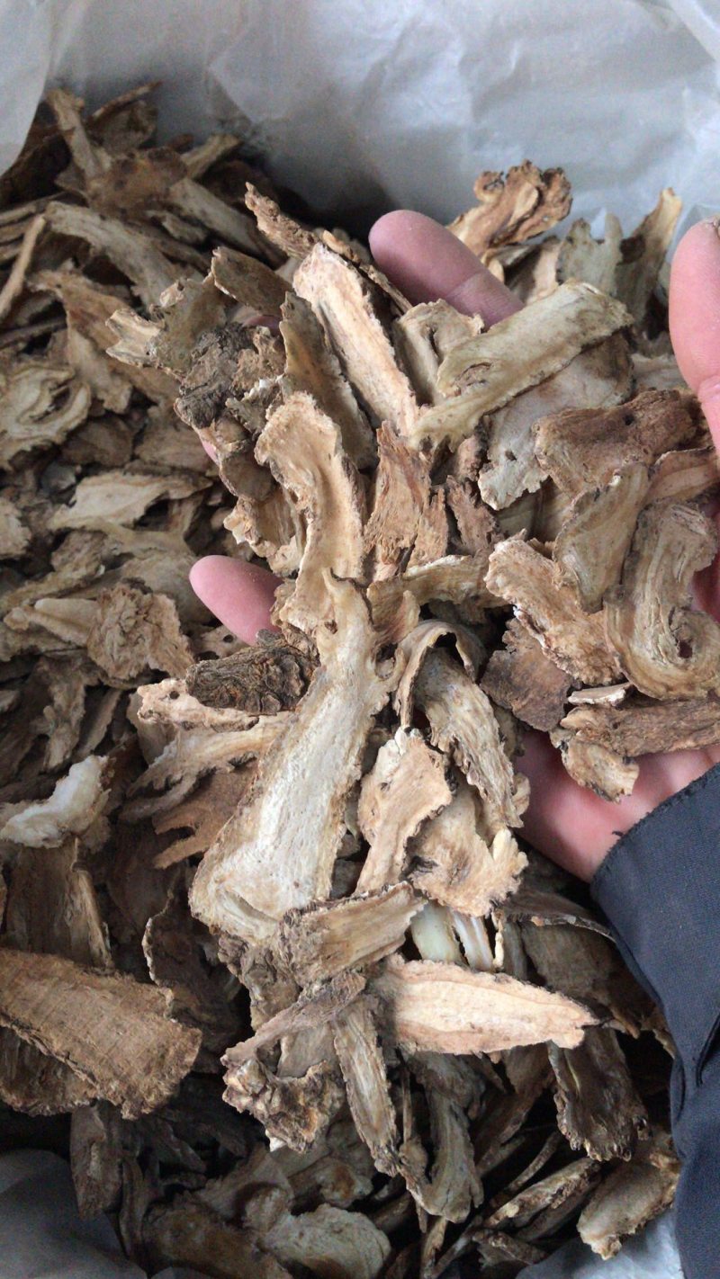 当归无硫全棵当归无硫当归片产地直供