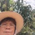 芒果树台湾金煌芒果绿化苗木成年挂果嫁接果树菠萝蜜树