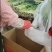 【特级】山东手选特级芹菜种植基地直发质优价廉欢迎电联