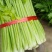 【特级】山东手选特级芹菜种植基地直发质优价廉欢迎电联