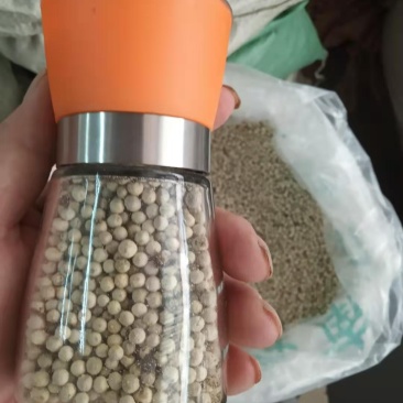 白胡椒研磨瓶，可以磨粉，要粗要细可以调