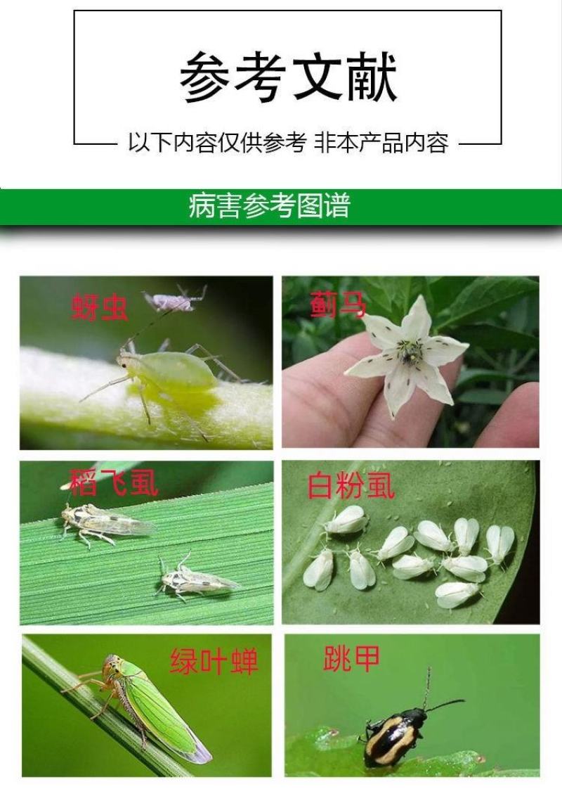 联苯+倍硫磷联苯菊酯蚜虫蓟马飞虱白粉虱专用杀虫组合蓟马